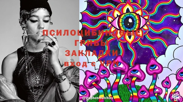 прущие крисы Вязники