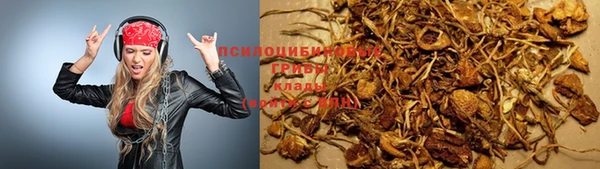 прущие крисы Вязники