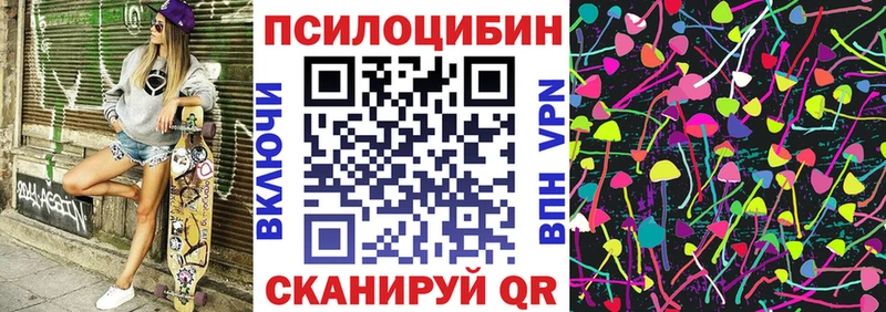 Купить  Мураши  Галлюциногенные грибы Cubensis 