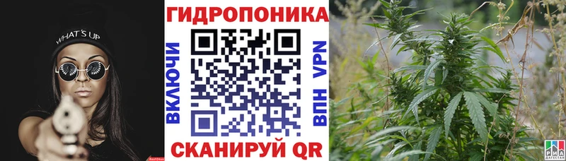 Конопля THC 21% Мураши